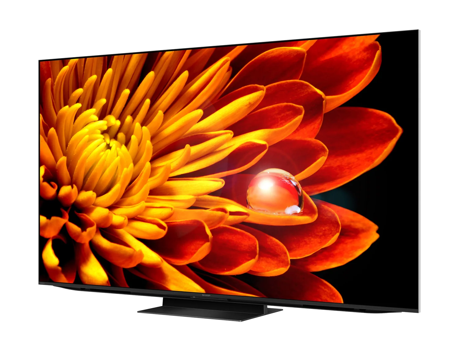 TVShopper75