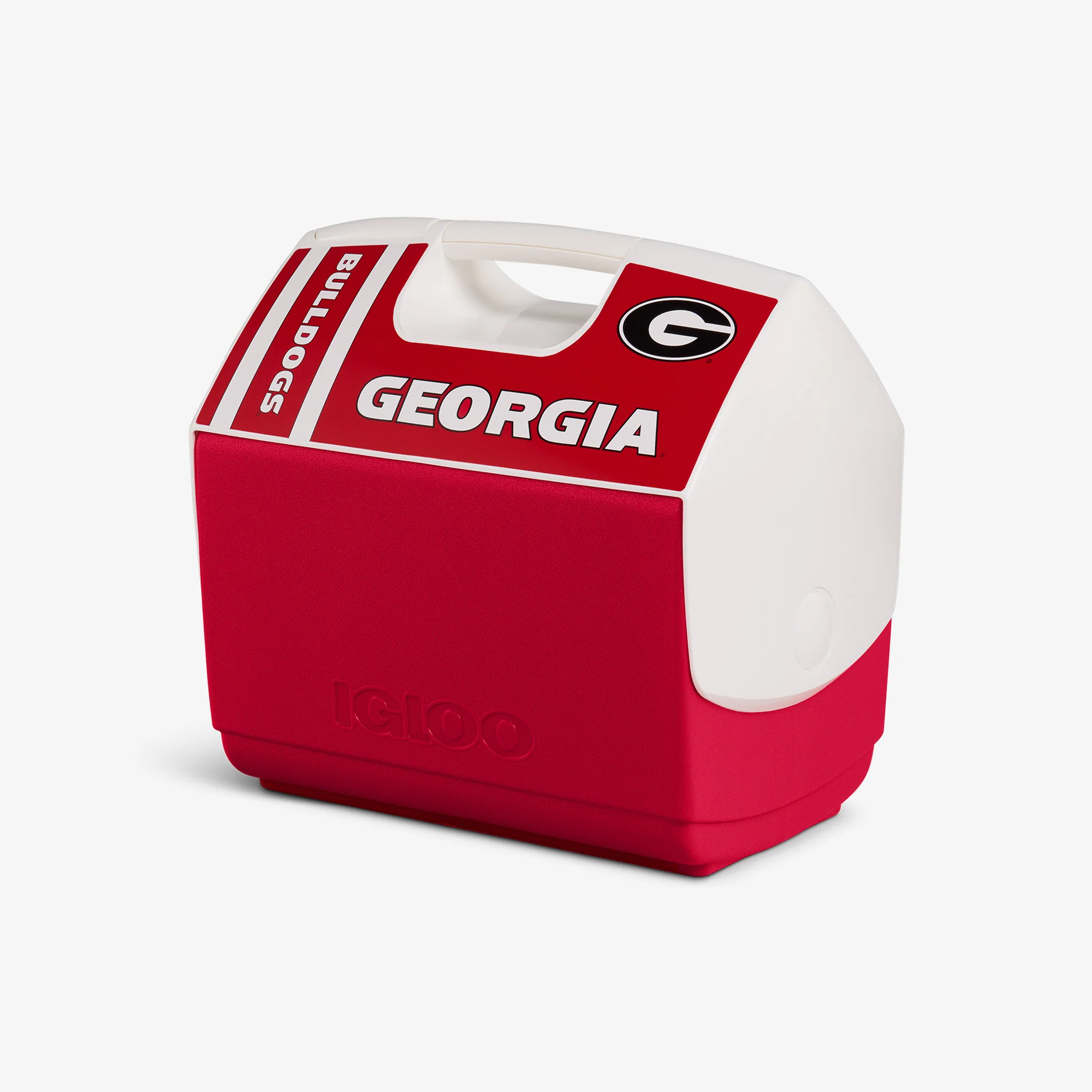DawgFanInATL