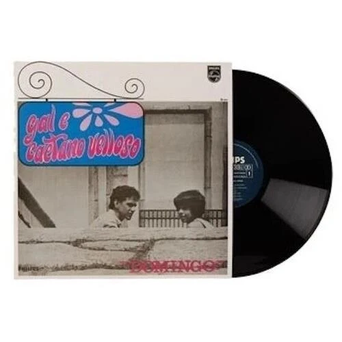VinylFan22