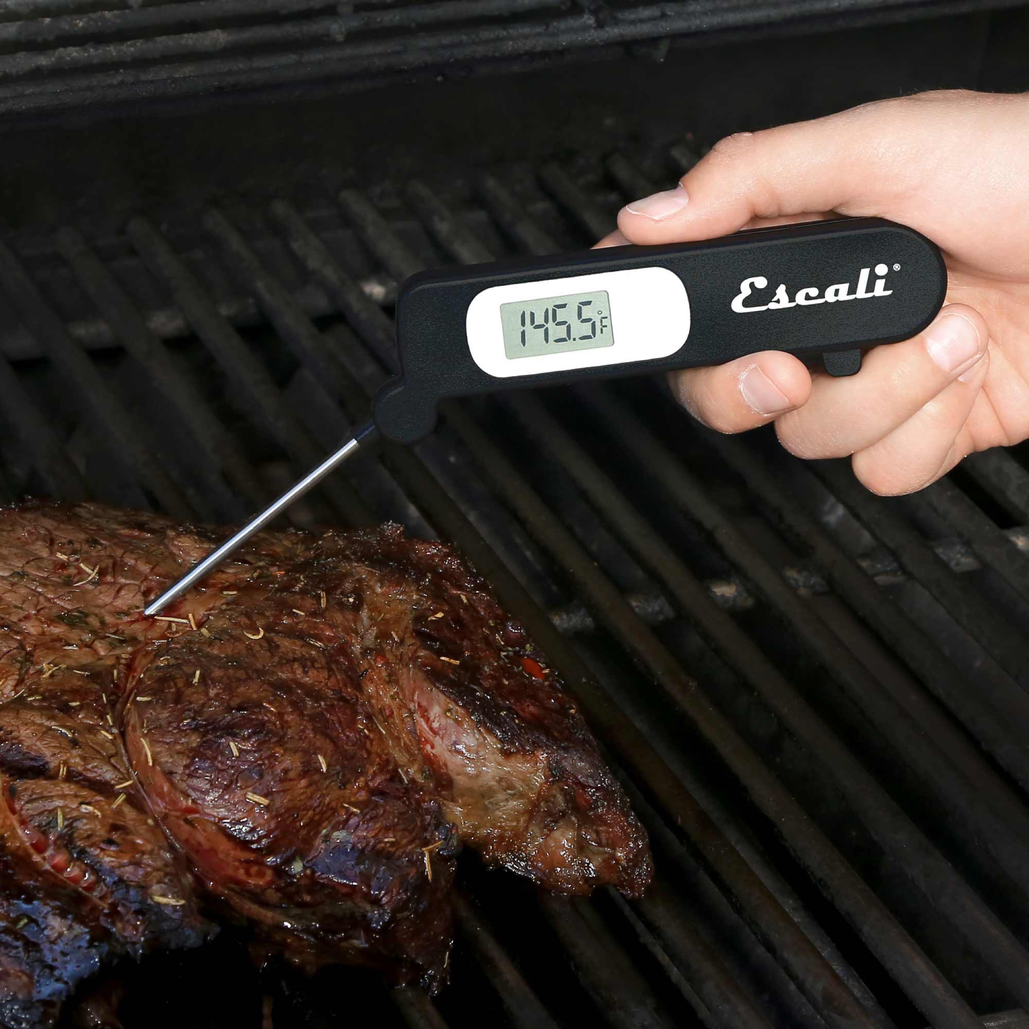 GrillFanatic