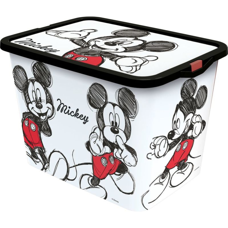 MickeyFan22