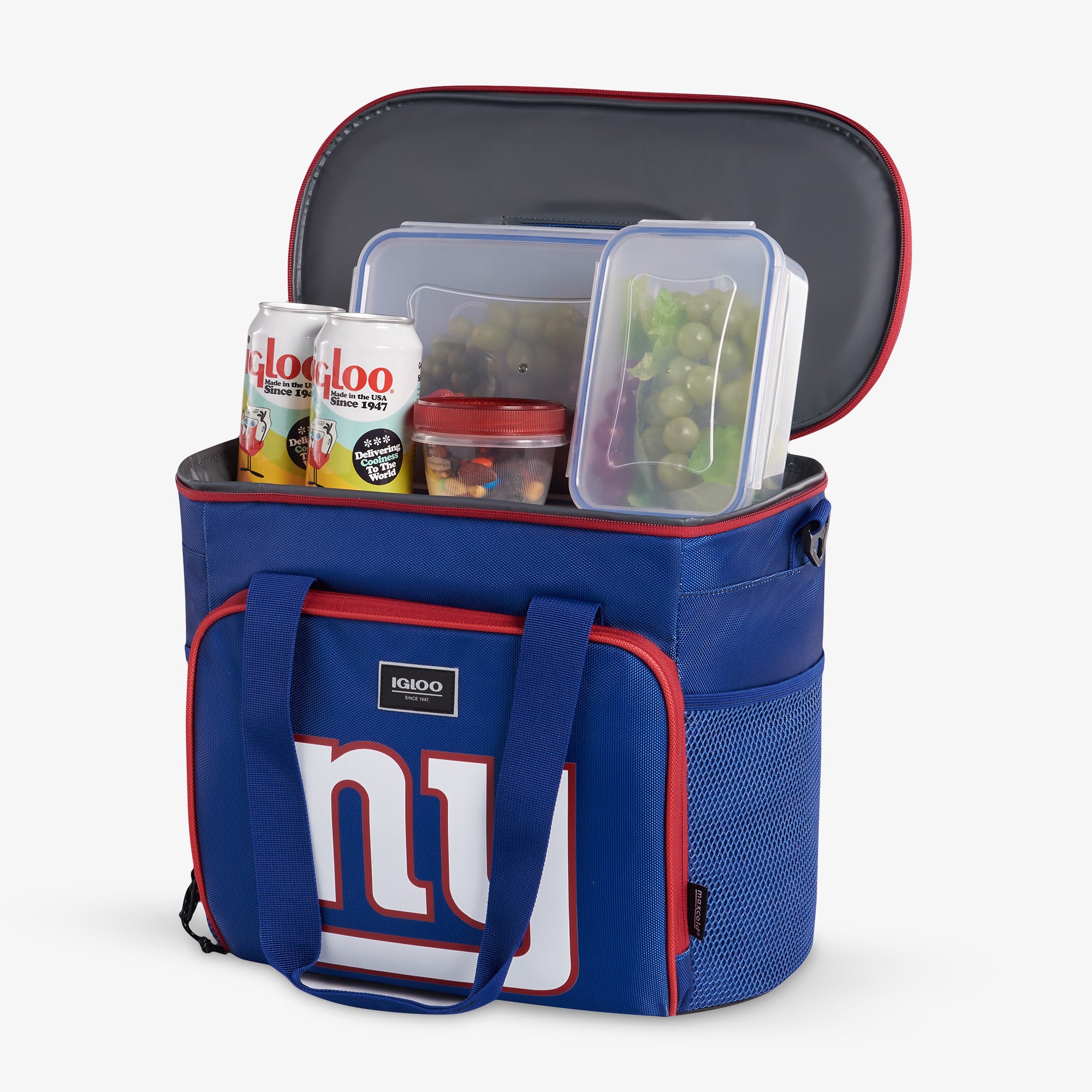 GiantsFanInNJ