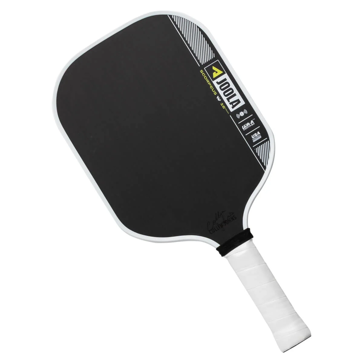 PaddleFan62