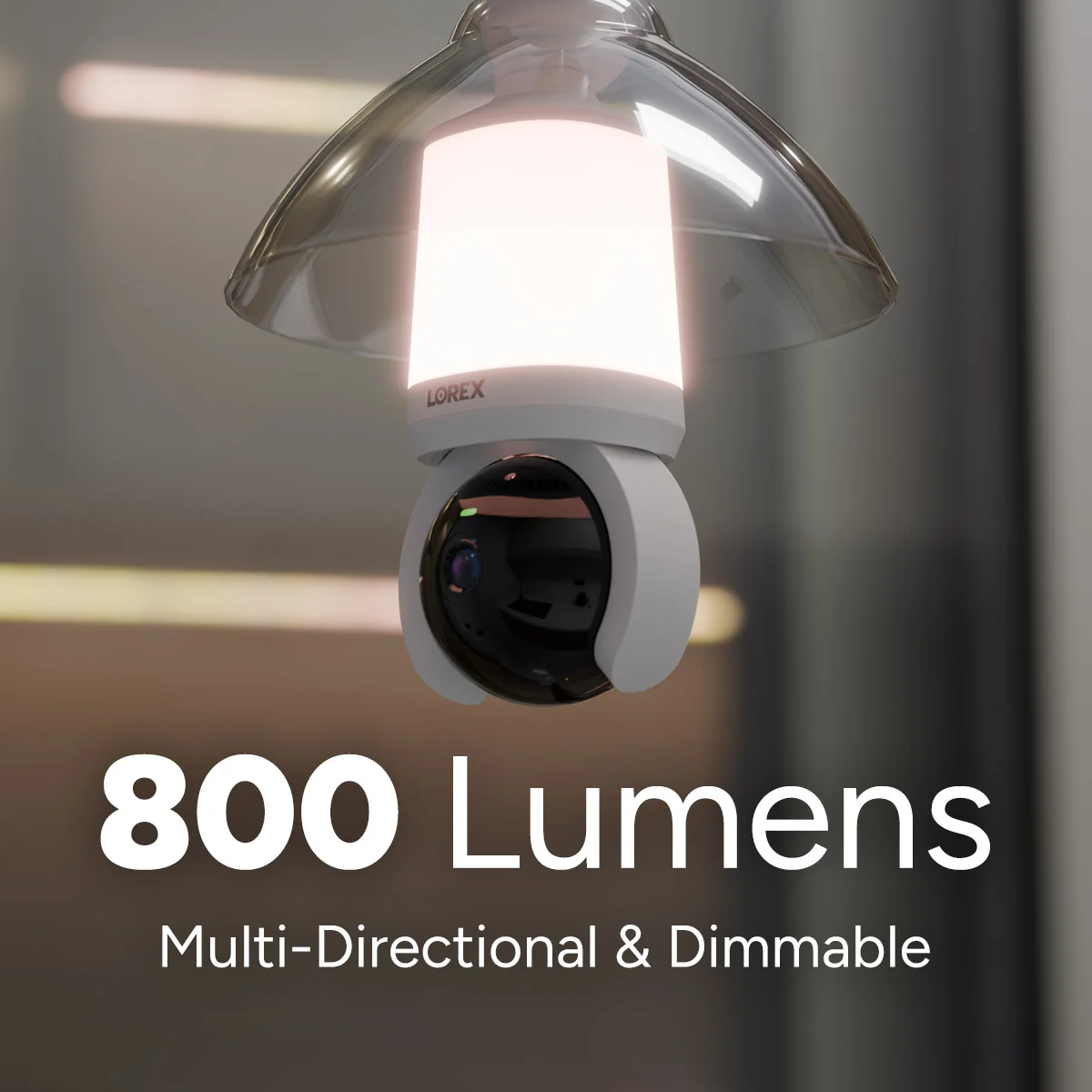 LightSocketLarry