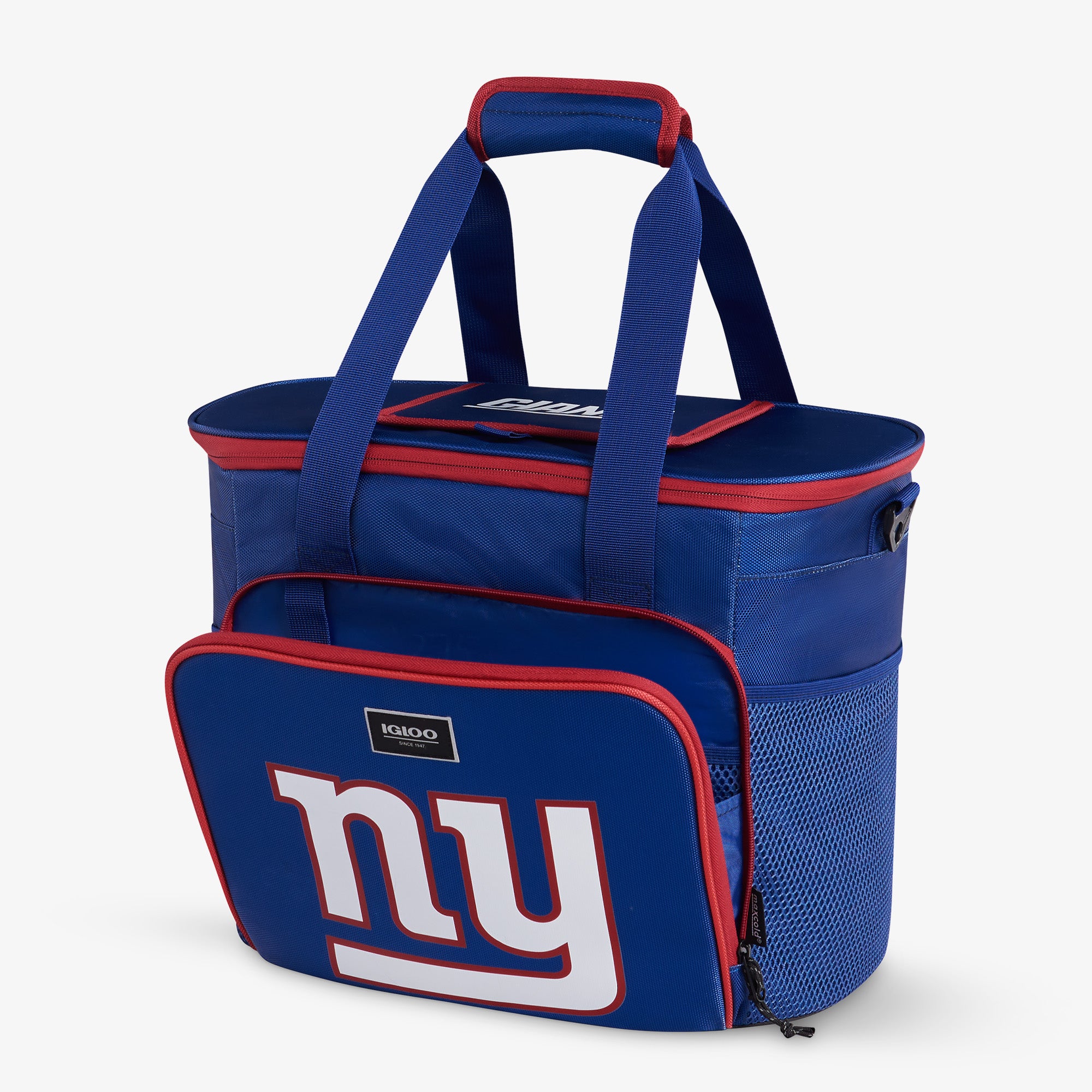 GiantsFanInNJ