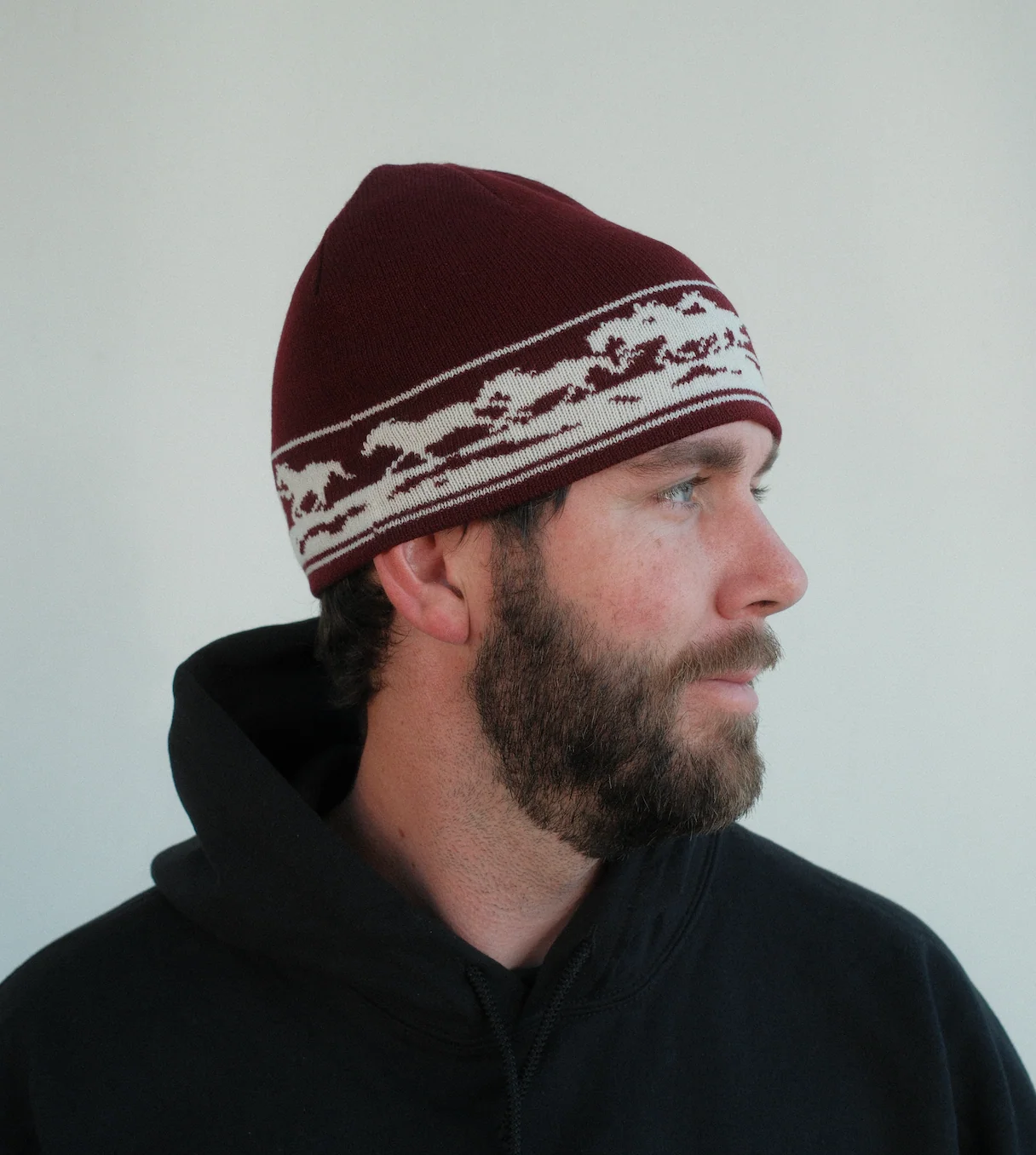 TrailTommy