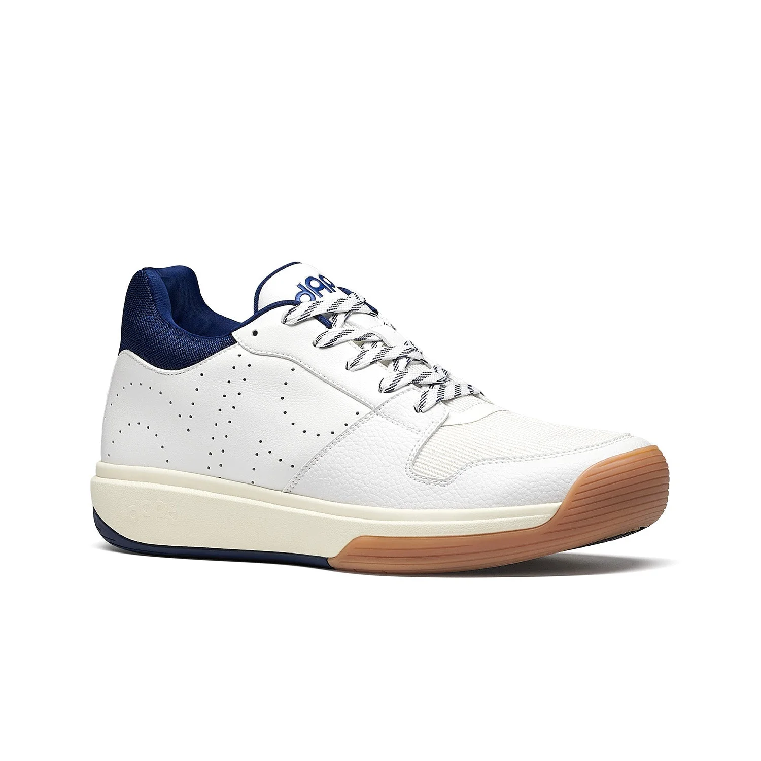 pickleball_dan