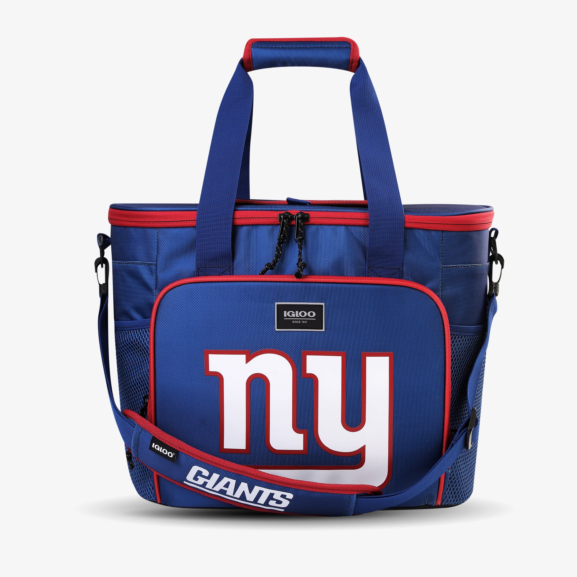 GiantsFanInNJ