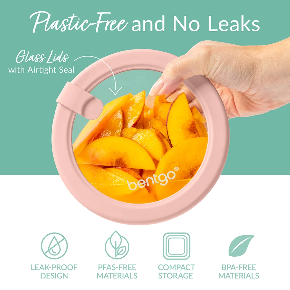 GlassMealPrepFan