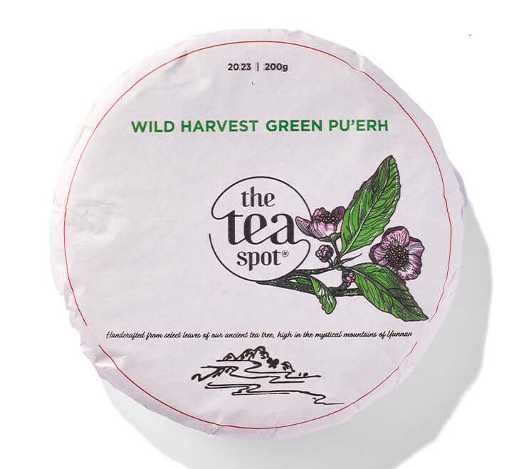 TeaExplorer88