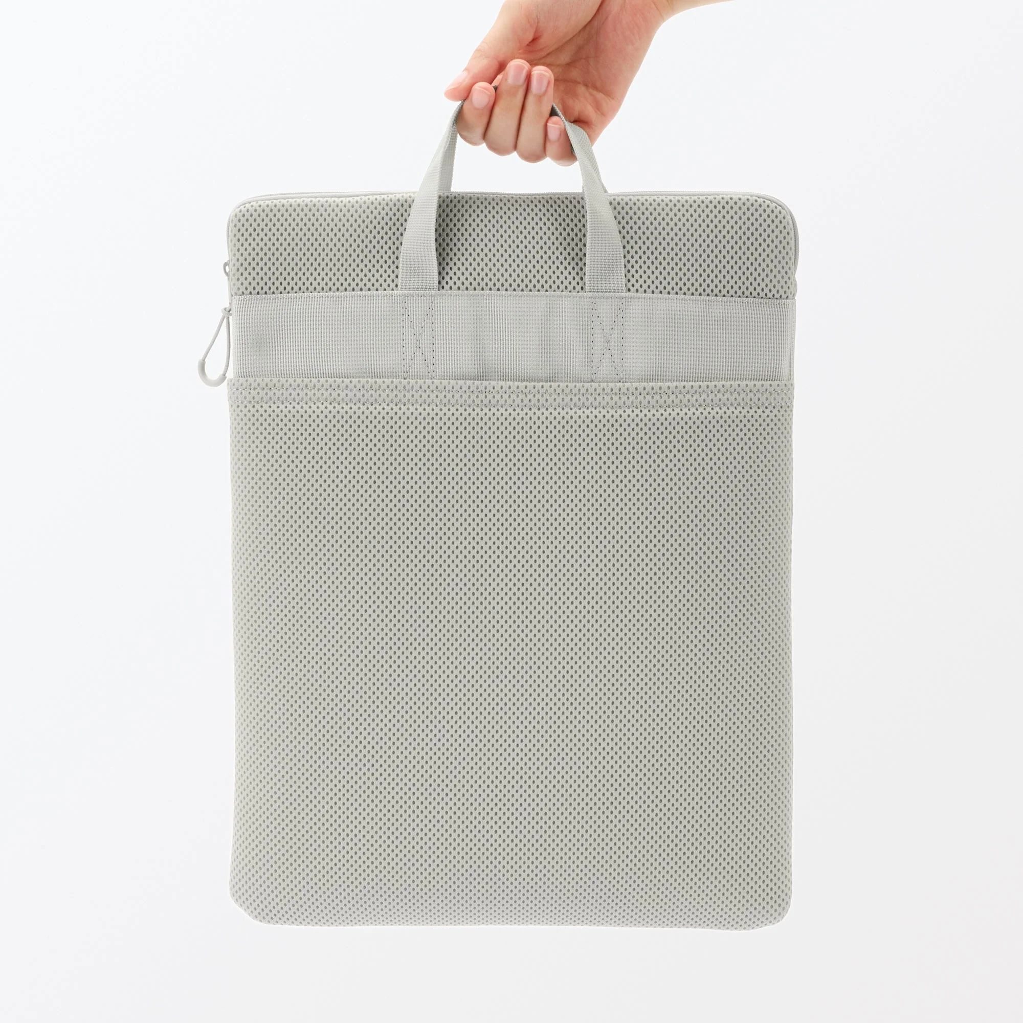 LaptopCarry