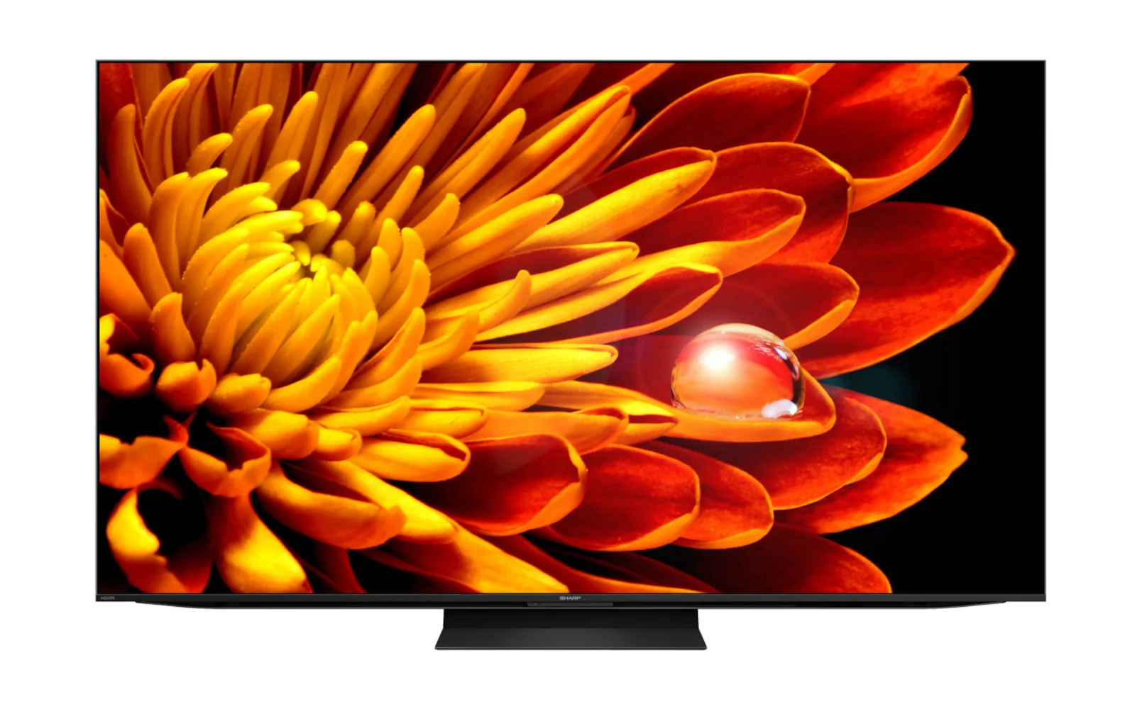 TVShopper75