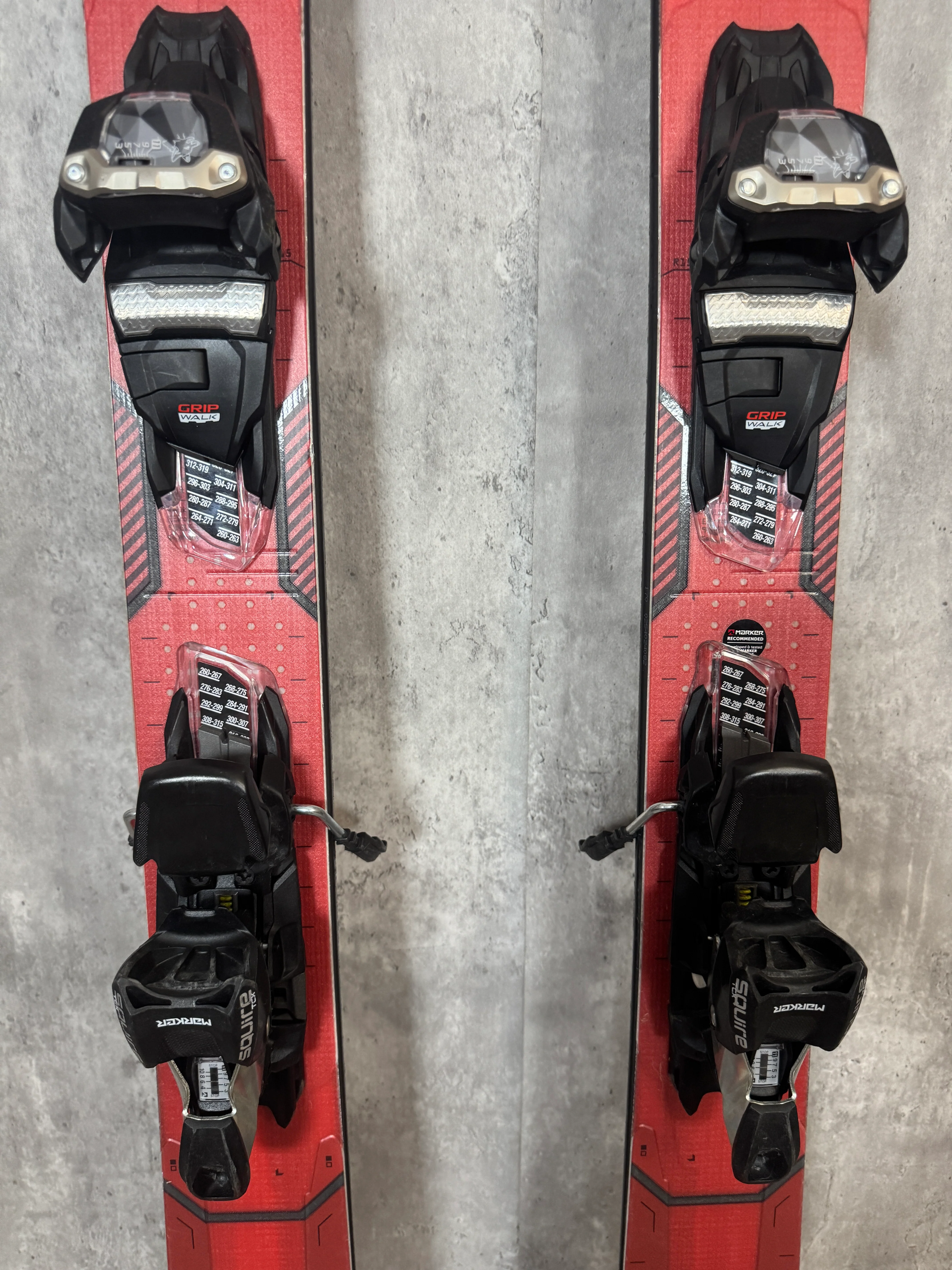 PCskier22