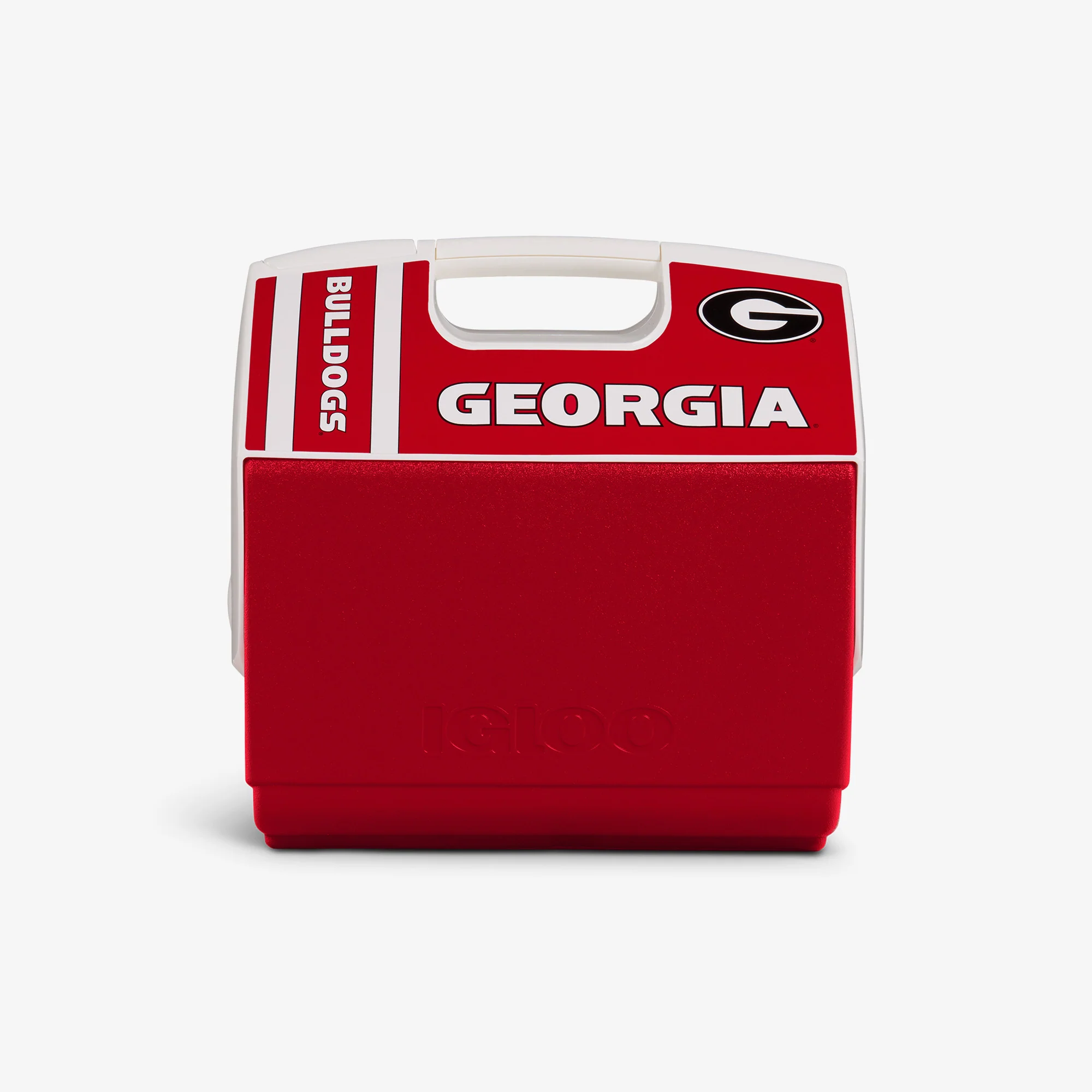 DawgFanInATL
