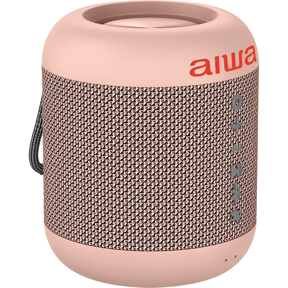 AudioFan22