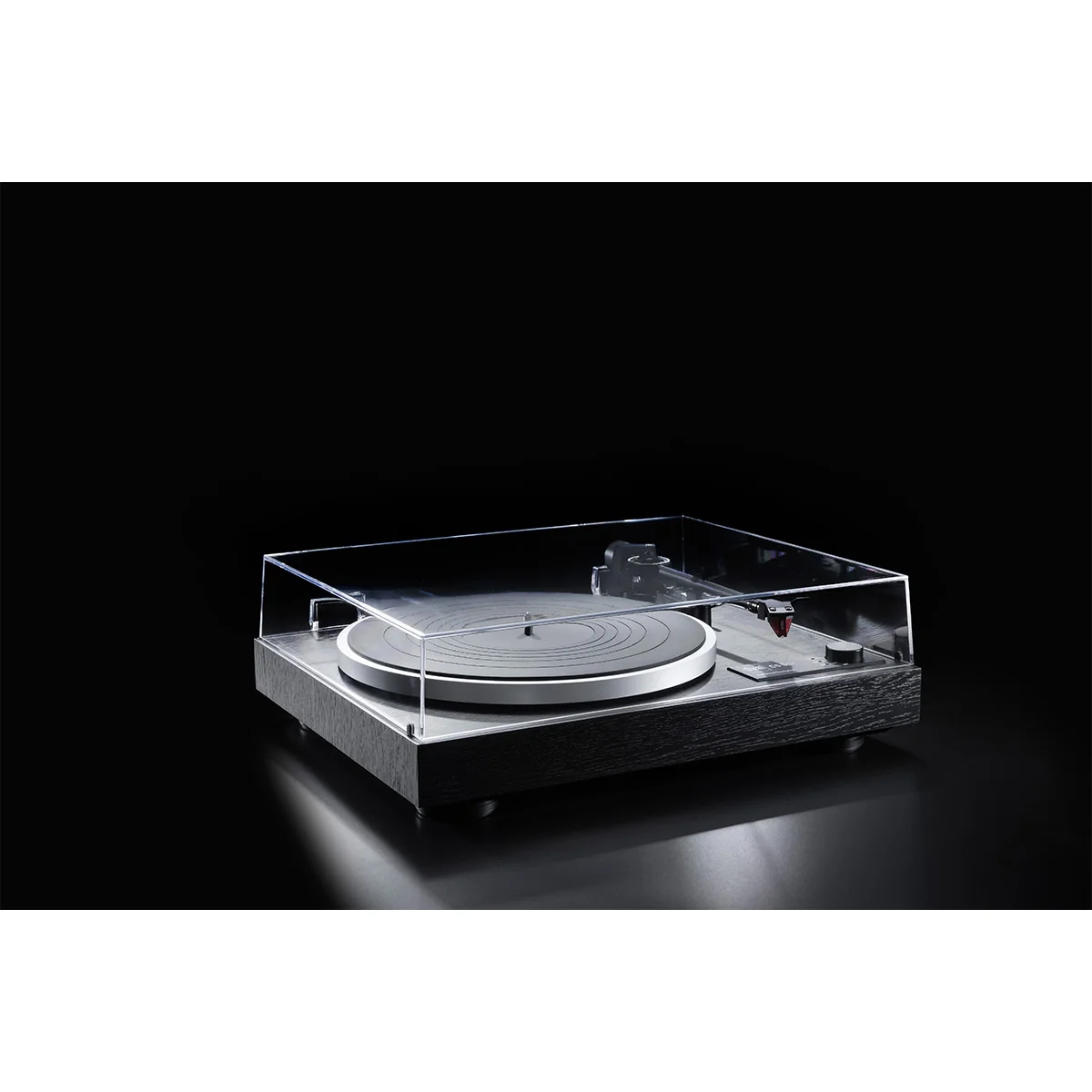VinylSpin